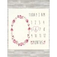 thumbnail image 3 of Modern Moments by Gerber Baby Girl Milestone Blanket & Frame Set, 2-Piece, Pink Roses, 3 of 6