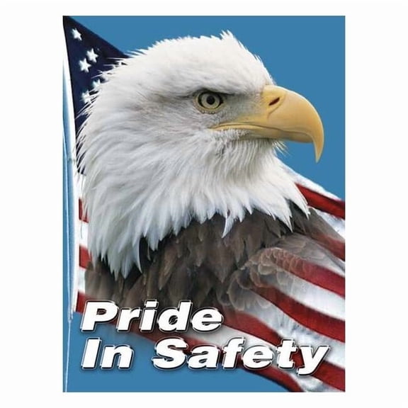 Accuform Safety Poster,22 in x 17 in,Plastic SP124511L