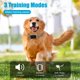 thumbnail image 3 of Collar de adiestramiento para perros DEIREG, rango de 4218 pies, 3 modos de entrenamiento, 3 of 7
