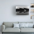thumbnail image 4 of Trademark Fine Art Ummu Nisan Kandilcioglu Lake Diary 2 Canvas Wall Art, 4 of 4