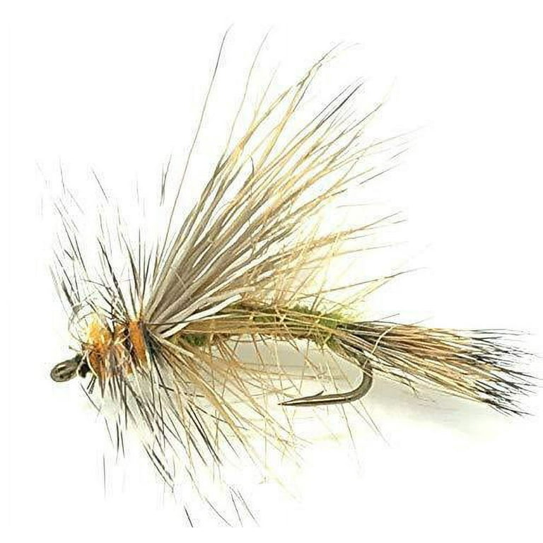  Feeder Creek Solid Color Bead Head Trout & Salmon Eggs, 12 Fly  Fishing Wet Flies in Size 12, Great for Big Trout, Bass, Panfish & More  (12, 4 Color Combo) : Sports & Outdoors