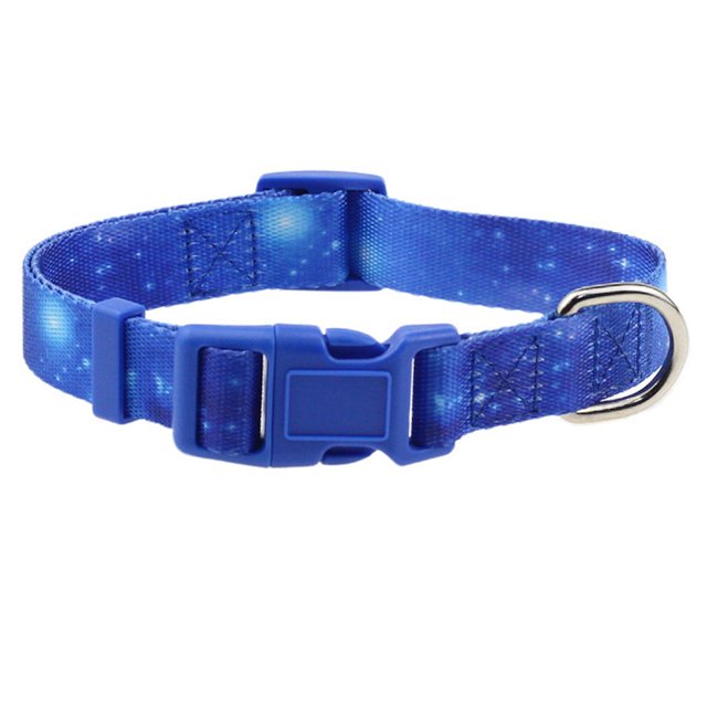 Conjunto de 2 piezas de collar para perros y gatos y divertido conjunto de correa. Collar de rayas ajustable para perros como regalo para mascotas.
