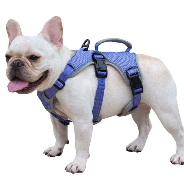 Arnés para perros Huntboo Escape Proof Reflectivo Technicolor Azul