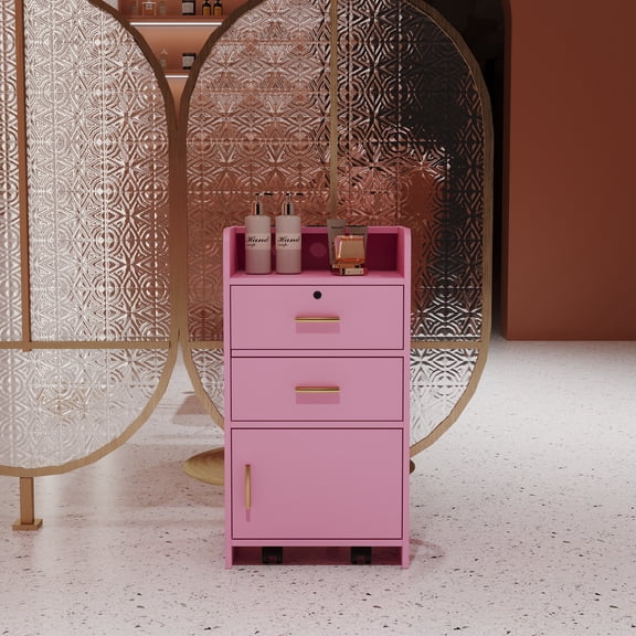 Locking Beauty Salon Storage Cabinet Hair Dryer Holder Stylist Equipment Drawer, Pink