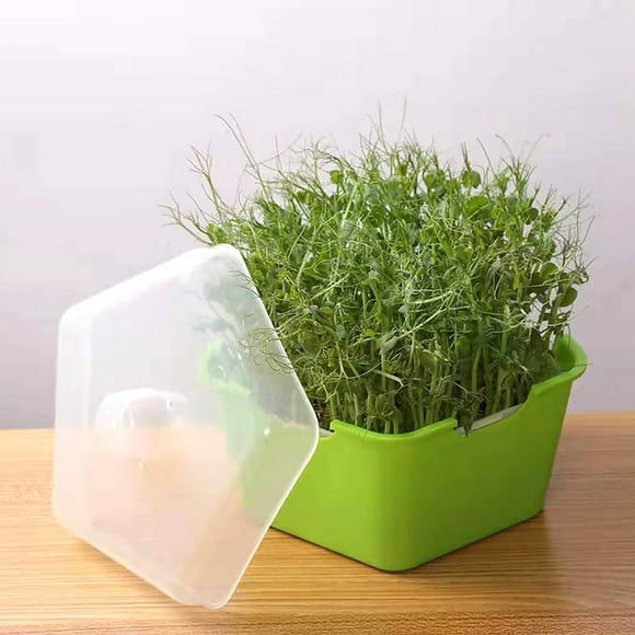 taicans Garden Seed Sprouter,Double Layer Bud Sprouts Bean Seed Hydroponics Wheat Grass Implant Nursery Tray,Wheatgrass Cat Grass Seedling Planting Trays for Garden Home office-Green