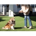 thumbnail image 5 of Correa retráctil para perros Fida de 16 pies para perros pequeños de hasta 12 kg, azul, 5 of 5