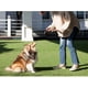 thumbnail image 5 of Correa retráctil para perros Fida de 16 pies para perros pequeños de hasta 12 kg, azul, 5 of 5