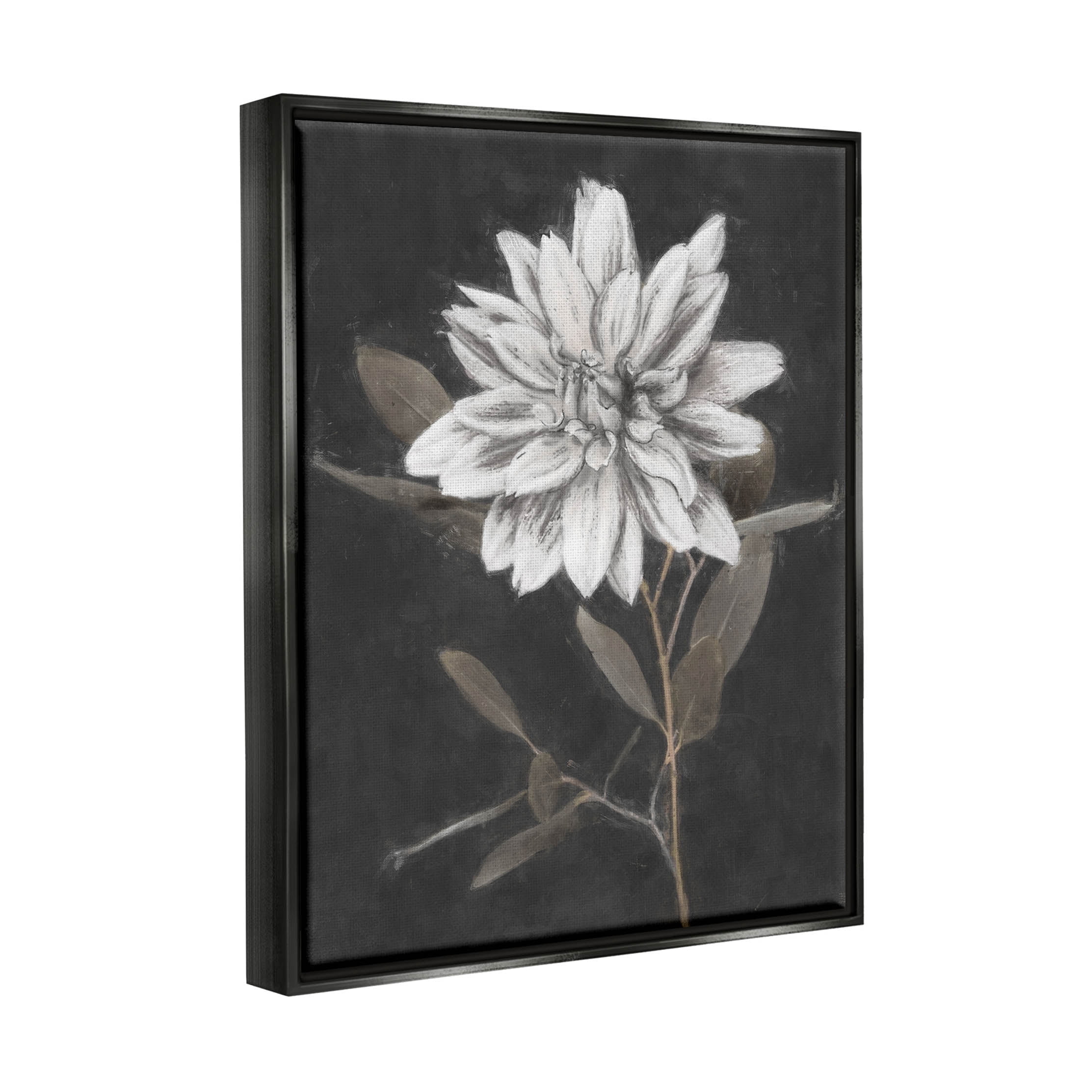 Stupell Industries Modern White Dahlia Blossom Sprout Painting Jet Black Floating Framed Canvas Print Wall Art, Design by Nina Blue
