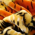 thumbnail image 5 of JML King Size Fleece Bed Blanket Reversible Thick Soft Warm Blanket 83 x 91 inches,5.7lbs, Tiger/Tiger, 5 of 8