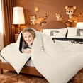 thumbnail image 4 of meiyoeat leopard Bow Monogram 7 Pieces Full Size Bedding Sets,Cheetah Print Initial P Full Size Bed in a Bag,Black Reversible, 4 of 7