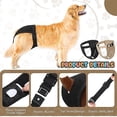 thumbnail image 3 of Adjustable Female Dog Protective Trousers For Bleeding Physiological Washable Pants Dog Underwear, 3 of 5