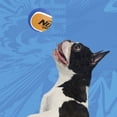 thumbnail image 4 of Pelota de tenis para perros Nerf Dog con chirriador interactivo, 4 unidades, 4 of 5