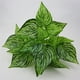 thumbnail image 4 of Inteprter Ramo de hojas de plantas artificiales, simulación de hojas de eneldo verde, ramo de para el hogar y la Oficina, decoración de plantas Plantas Artificiales No.03 Inteprter HA7138-03B, 4 of 6