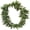 Fern Leaf Lei, variant on PMU Luau Tropical Fern Leaf Lei 1 Set (4pcs) Green Wearable (Head, 2 Wrists and Necklace) Party Costume