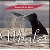 Sounds Of The Earth: Whales