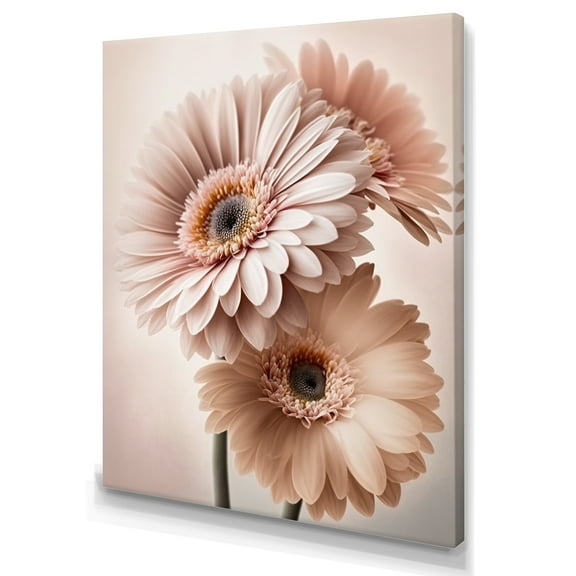 Designart Light Pink Gerbera Flowers I Canvas Wall Art