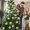 Green, variant on Christmas Tree,Furry Christmas Balls,Plastic Material,Festival Handmade Decoration ,Hanging Decorations for Thanksgiving Party Decoration,16 Pcs,Lime Green