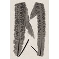 thumbnail image 2 of Lowe 11x14 White Modern Wood Framed Museum Art Print Titled - Custom Fern Family III, 2 of 4