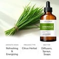 thumbnail image 2 of Citronella Essential Oil by Velona - 32 oz | Therapeutic Grade for Aromatherapy Diffuser Undiluted, 2 of 5