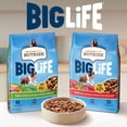 Rachael Ray Nutrish Big Life Dry Dog Food for Big Dogs, Hearty Beef