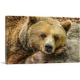 thumbnail image 1 of ARTCANVAS Grizzly Bear On Rock Zoo decor Canvas Art Print - Size: 18" x 12" (1.50" Deep), 1 of 9