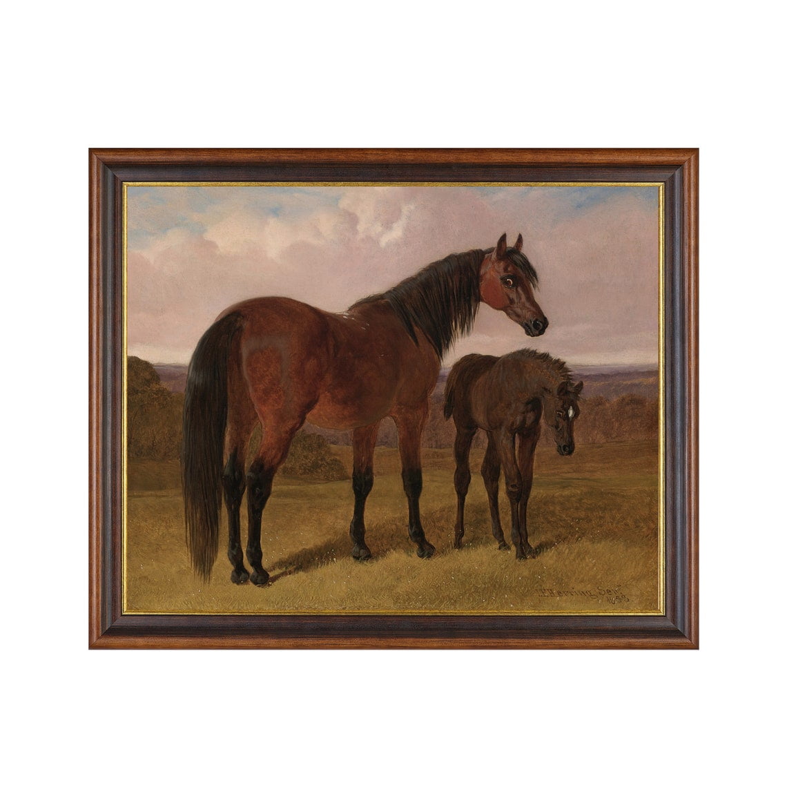 Mare And Foal Vintage Horse Rustic Farmhouse Wall Art Nature Inspired Living Room Decor