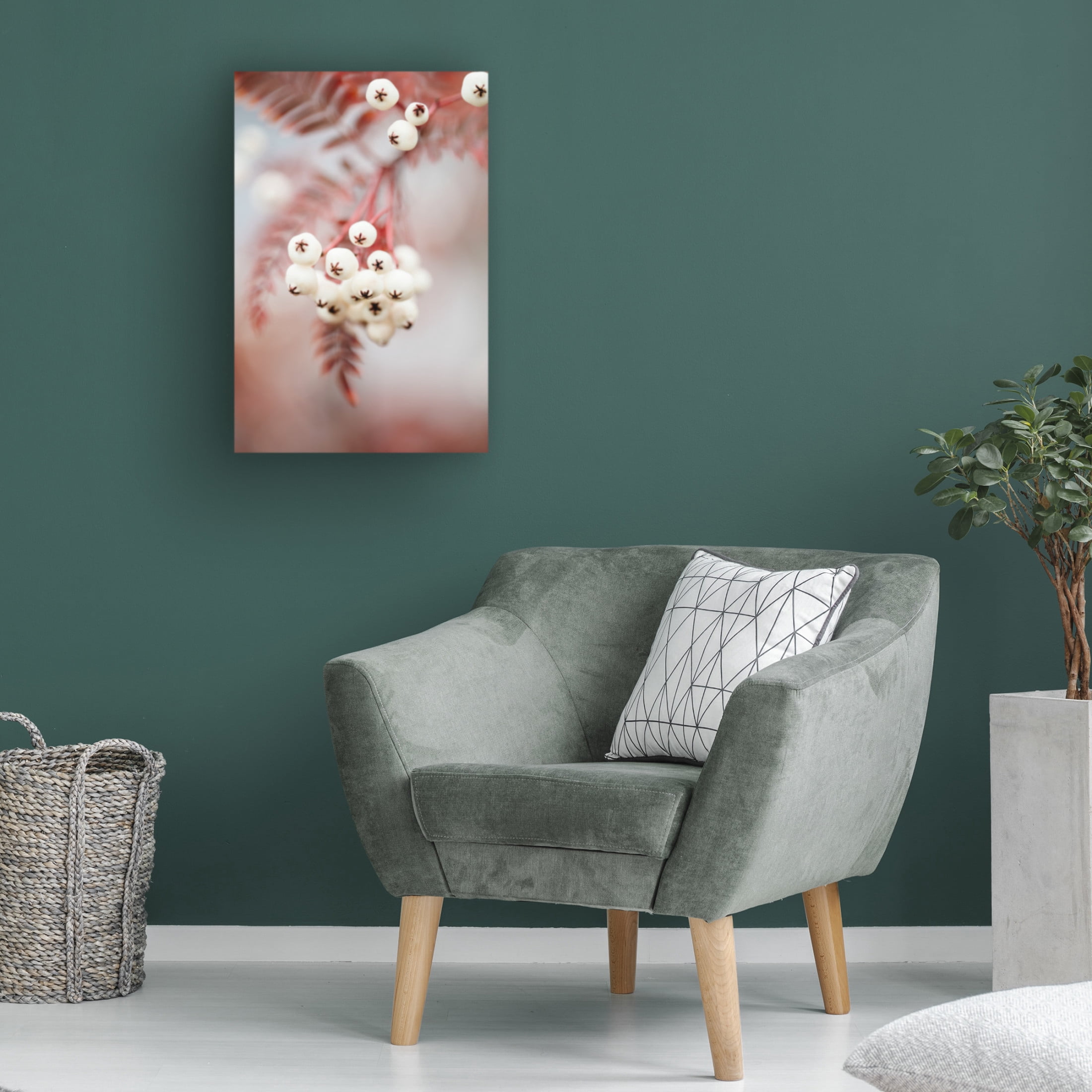 Trademark Fine Art Pictufy Studio Berries On A Twig Canvas Wall Art