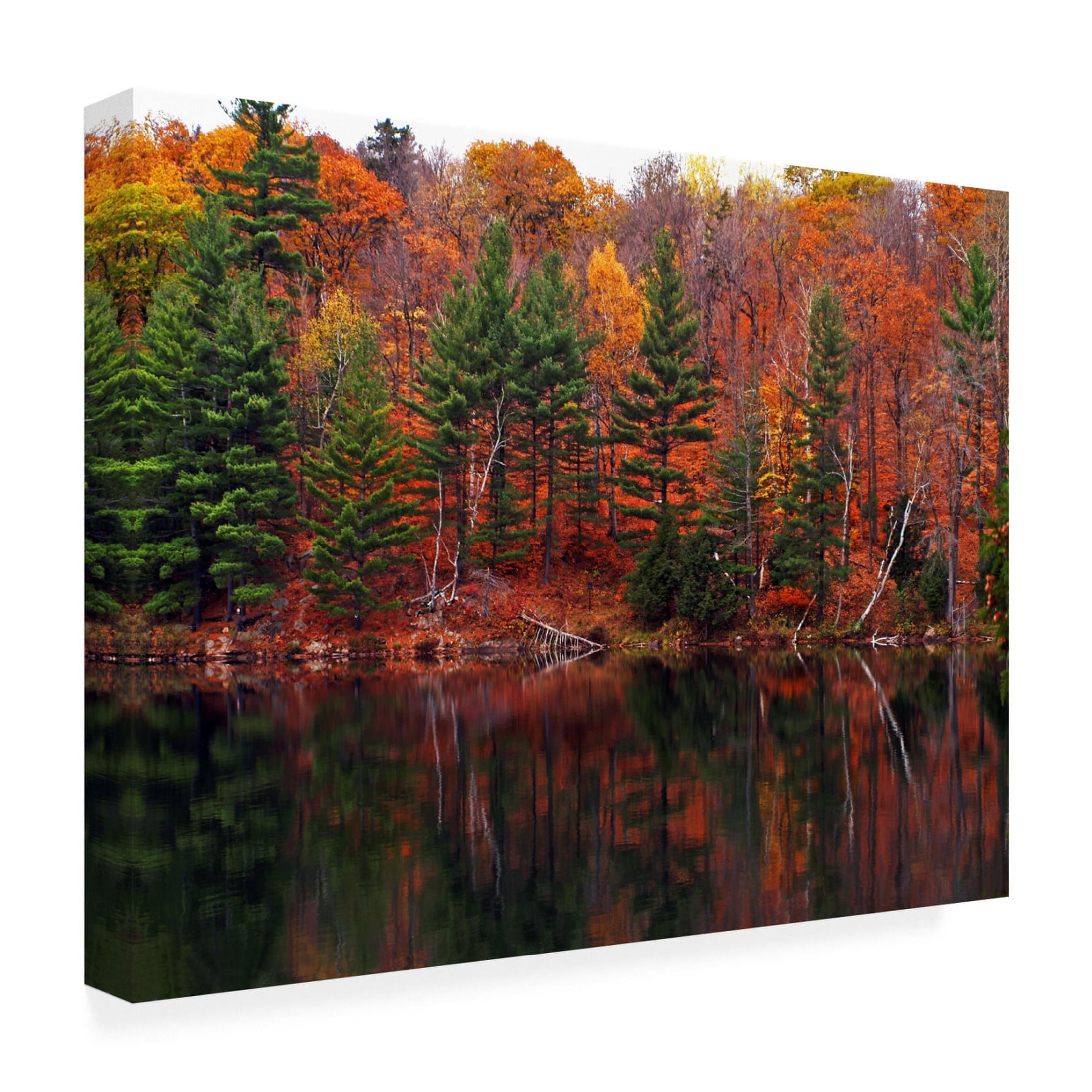 Canvas Wall Art - Clive Branson 'Meech Lake Reflections' Wall Art for Living Room, Bedroom, or Office Décor by Trademark Fine Art - 32 x 24 Inches