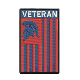 United States Military US Army Veteran Iron On Patch Only 2 Pieces, US Army