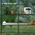 thumbnail image 4 of Outsunny Serre de Jardin avec 8 Étagères, Maison Verte Extérieure, Verte, 4 of 9