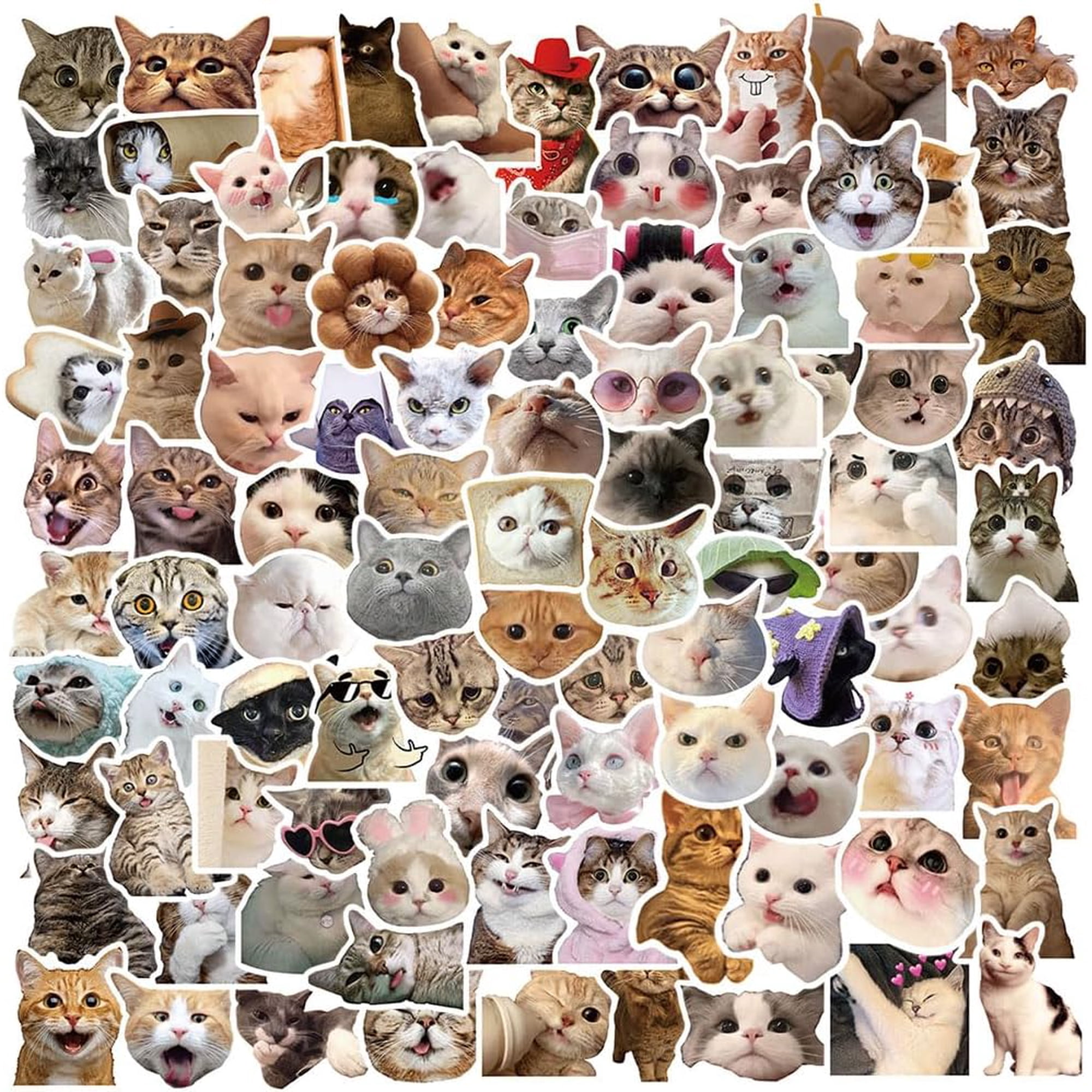 CCOCC 100 Pieces Funny Cat Stickers, Cute Cats Meme Stickers for Water Bottle Laptop, Pet Cat Decal for Luggage Skateboard Bicycle, Vinyl Kitty Animals Sticker