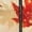 Fall Maple Leaves, variant on Psesaysky One Pieces Hooded Pajamas for Women Men Onesie Pajamas Zipper Drawstring Jumpsuit Fall Maple Leaves Print Halloween Costumes for Cosplay Party, Size L
