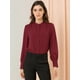 thumbnail image 2 of INSPIRE CHIC Blusa de las camisas de manga larga abotonadas del cuello del soporte de la oficina del trabajo de las mujeres Vino rojo L, 2 of 6