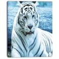 thumbnail image 2 of Silver Tiger with Water Background - African Canvas Art Print, 2 of 3