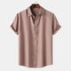 thumbnail image 5 of Camisa de manga corta de verano para hombre, color liso y solapa - Estilo sencillo y moderno, poliéster, para todas las estaciones, 5 of 8