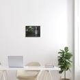 thumbnail image 3 of Stupell Industries Tranquil Waterfall Rainforest Environment Nature Clearing Photography Photograph Gray Framed Art Print Wall Art, Design by Daphne Polselli, 3 of 5