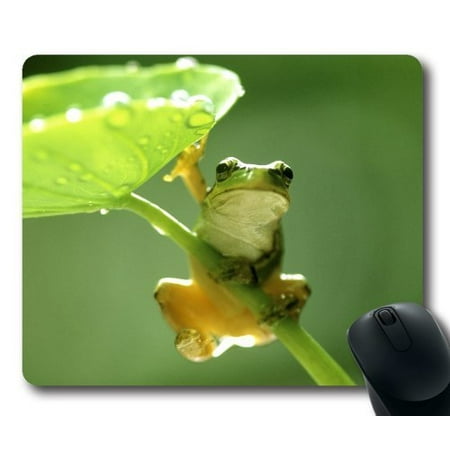 POPCreation The shelter under the lotus leaf frogs Mouse pads Gaming Mouse Pad 9.84x7.87