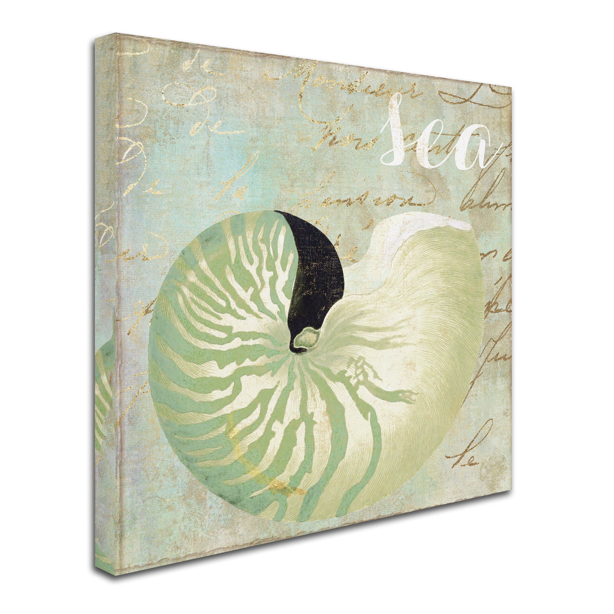 Trademark Fine Art "Turquoise Beach I" Canvas Art by Color Bakery