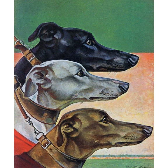 "Greyhounds" by Paul Bransom Painting Print on Canvas
