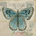 thumbnail image 2 of Jacobs, Cindy 12x12 Gold Ornate Wood Framed with Double Matting Museum Art Print Titled - Postcard Butterfly I, 2 of 4
