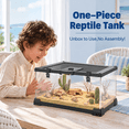 2.5 Gallon Small Reptile Amphibian Insect Enclosure 12