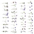 thumbnail image 3 of 80 Sheets of Floral Stickers PET Flower Stickers Card Making Plastic Stickers, 3 of 8