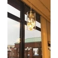 thumbnail image 4 of Verona Crystal Pendant Light Mini Glass Cylinder Fixture, 4 of 7