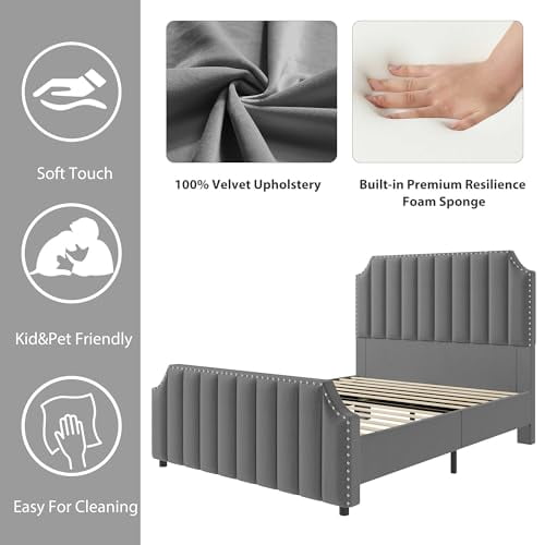 Danolapsi Queen Size Platform Bed Frame with 50.2" Headboard and Footboard,Velvet Upholstered Bed Frame Queen with Vertical Channel Tufted & Nailhead Trim Headboard,No Box Spring Needed,Easy Assembly