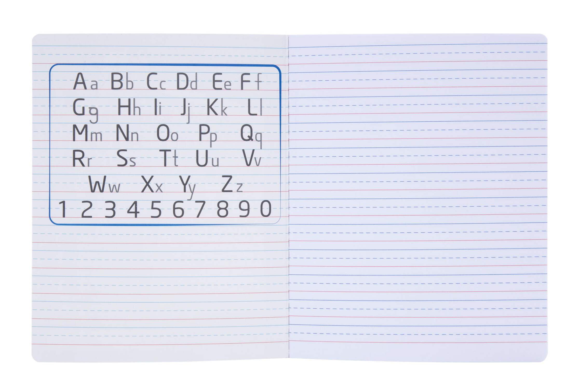 Mintra Primary Composition Notebook 4PK - Full Page - Assorted - Flexible Hardcover (09271) - 80 Sheets