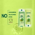 thumbnail image 4 of Garnier Fructis Pure Clean Shampooing Fortifiant pour Cheveux Normaux à Gras, 4 of 7