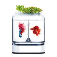 thumbnail image 1 of Desgeo Amphibious Fishbowl Pro 1.5L Flower & Fish Cultivation Smart, 1 of 8