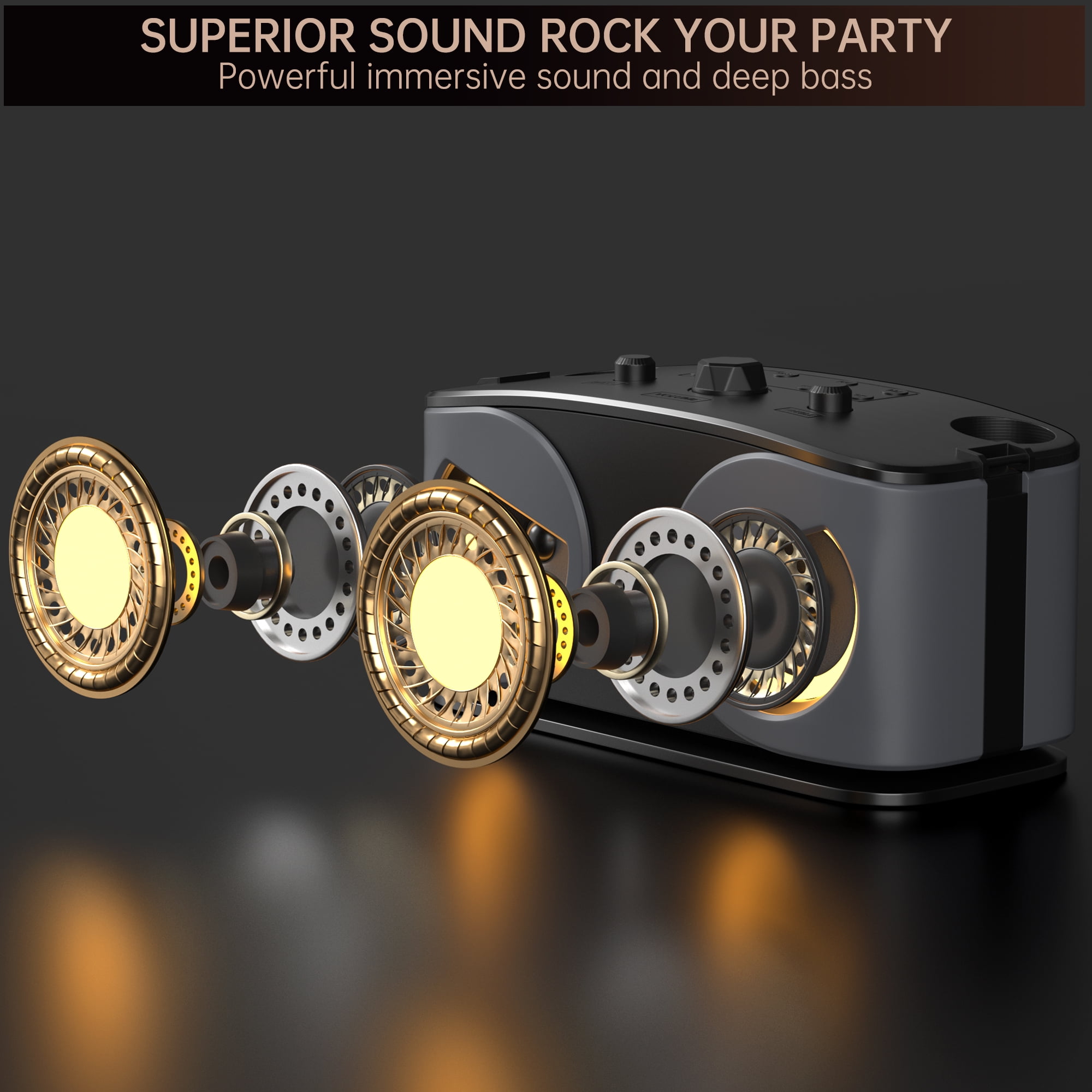 VIPQV Karaoke Machine, Portable Bluetooth Speaker with 2 Wireless Microphones for Adults & Kids, Karaoke Microphone with Voice Change Function, Supports TF/AUX/USB for Home Party