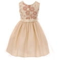 thumbnail image 2 of Big Girls Floral Embroider Sequin Tulle Christmas Holiday Party Flower Girl Dress Champagne 10 (2J1K4S8), 2 of 4