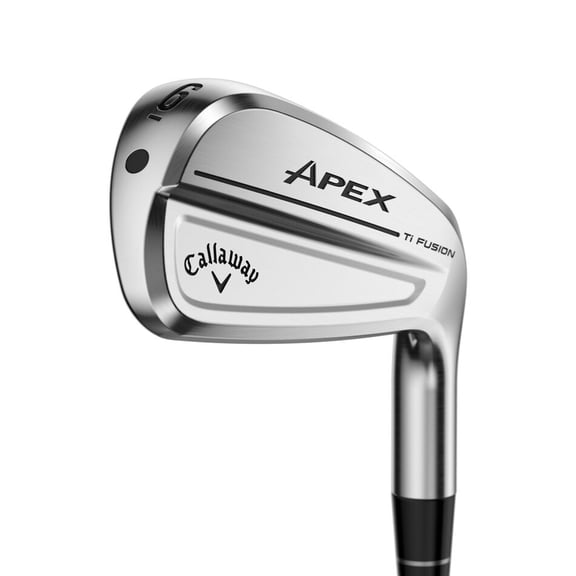 Pre-Owned RH Apex Ti Fusion 250 Individual Iron Mens Steel Shaft 23 True Temper Dynamic Gold MID 90 Steel R300 (Regular)